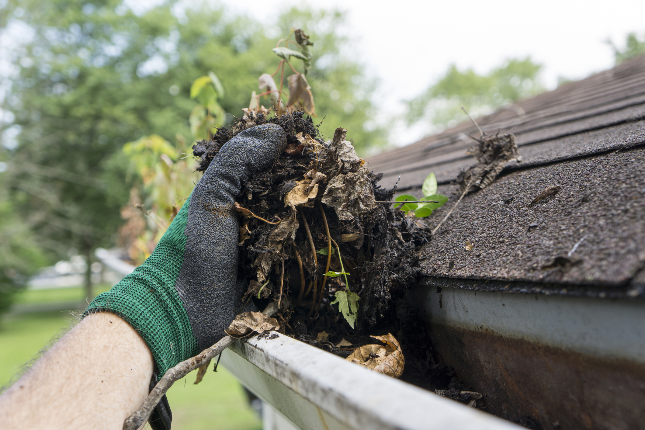 photo of a gutter cleaning service cleaning a gutter by hand